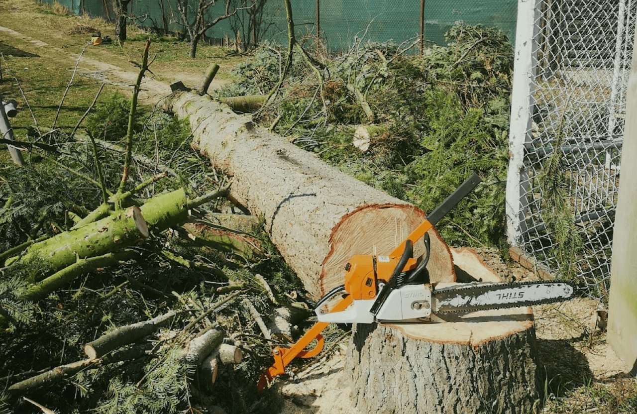 rizikové kácení stromů_arboristika