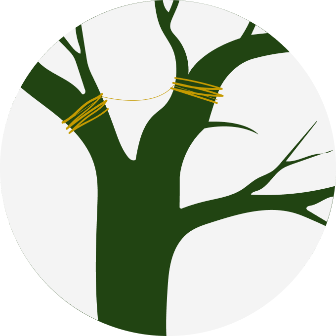 dynamická bezpečnostní vazba_arboristika