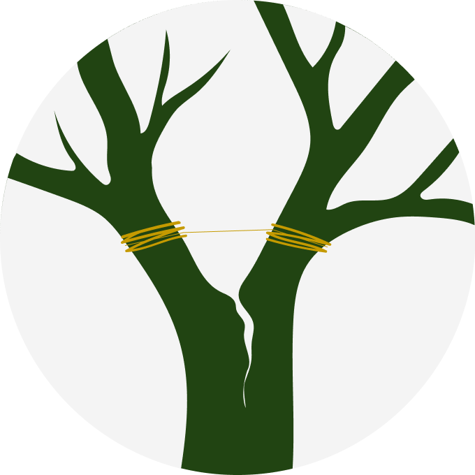 statická bezpečnostní vazba_arboristika